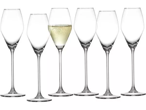 Een Champagneglas 220ml 6 stuks koop je bij Supply Mij