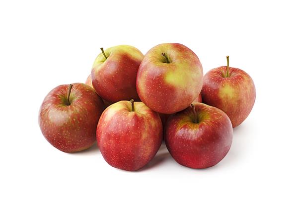 Een Appel Jonagold 1,5kilo koop je bij Supply Mij